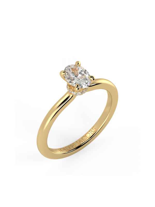 Raylee Round Moissanite Engagement Ring