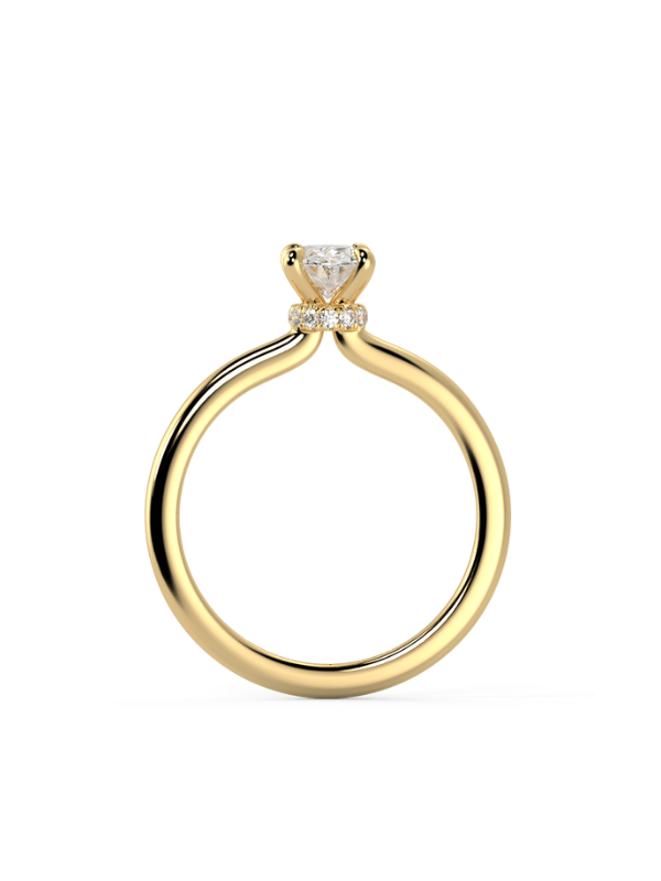 Raylee Round Moissanite Engagement Ring